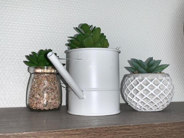 블루아 Studio N5 Terrasse Hypercentre 아파트 외부 사진